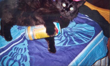 mon chat